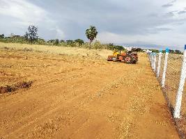 Farm Land For Sale In Ambasamudram Tirunelveli Buy Sell Agricultural