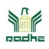 Radhe Infrastructure & Projects (India) Limited