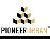 Pioneer Urban Land & infrastructure Limited