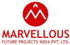 Marvellous Future projects