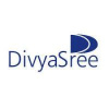 Divyasree Infrastructure Projects Private Limited