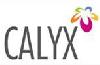 Calyx Merlin Ventures