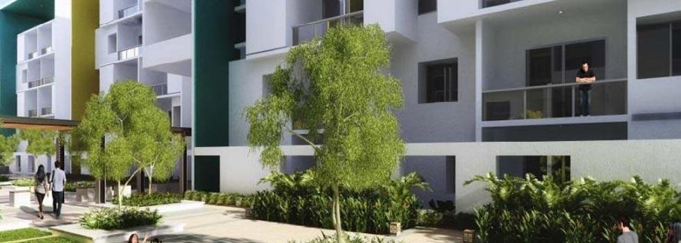 Zonasha Vista, Bangalore - Luxurious Apartments