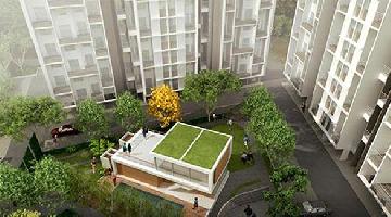 VTP Urban Rise