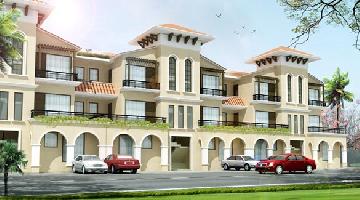 Ongoing Projects