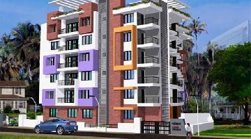 Ongoing Projects