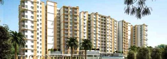 Prestige Pine Wood