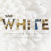 SNR White Petals