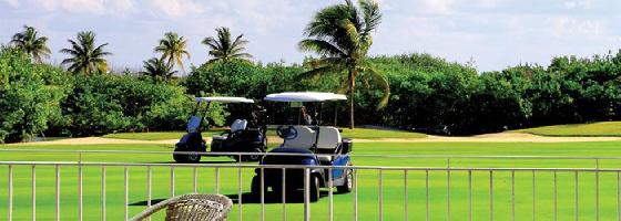Beverly Golf Avenue