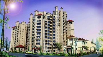 Shalimar Grand