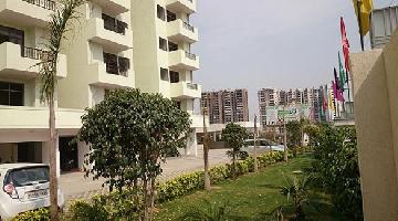 Himalaya Tanishq