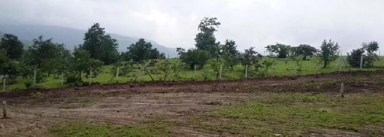 Sahyadri Classic