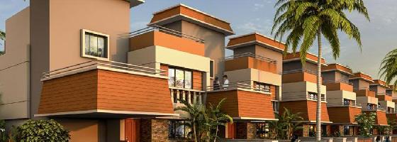 Ongoing Projects