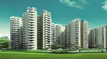 CHD Avenue 71