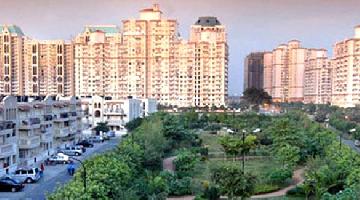 DLF Exclusive Floors