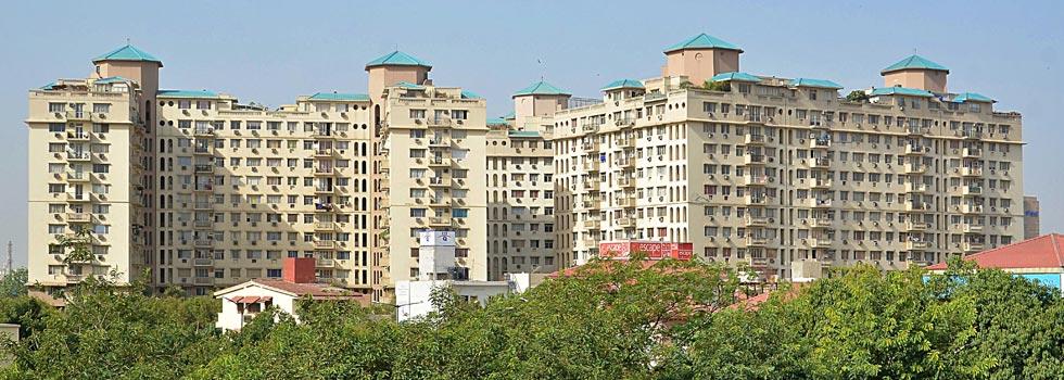 DLF Ridgewood Estate, Gurgaon - 3/4 BHK Apartment