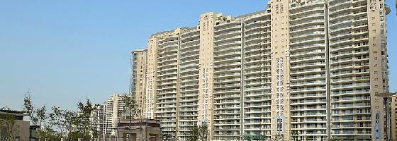 DLF Magnolias