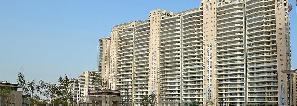 DLF Magnolias, Gurgaon - 4/5 BHK Apartment