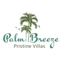 Palm Breeze