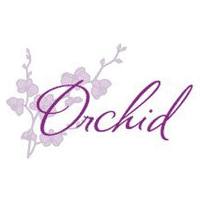 Golden Lotus Orchid