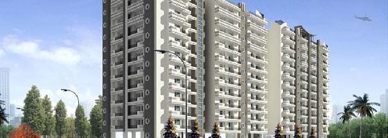 Ongoing Projects