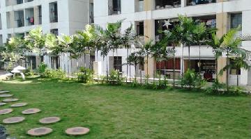 Ongoing Projects
