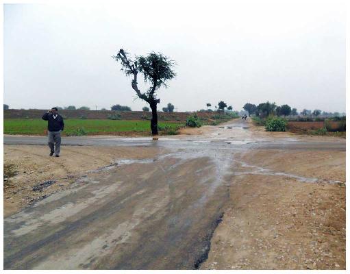 Moon City, Jaipur - Residential Plots