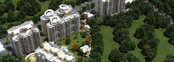 Ongoing Projects