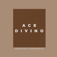 Ace Divino