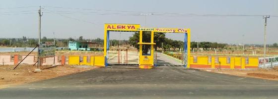 Tarang City