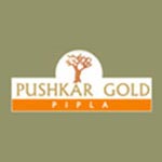 Pushkar Gold Pipla