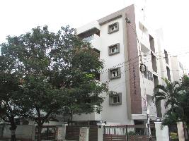 Firm Chokku Nivas