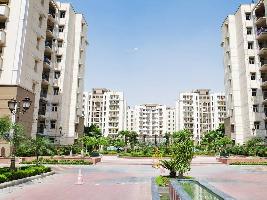 Ready to Move