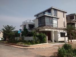 Ongoing Projects