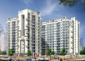 Agarwal Gokul Solitaire