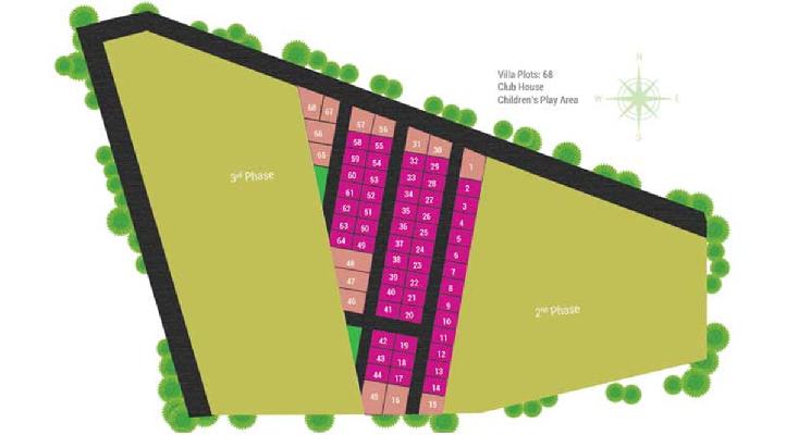 The Rare Earth, Bangalore - The Rare Earth