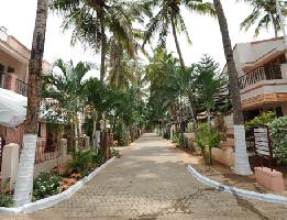 Parsn Palm Legend