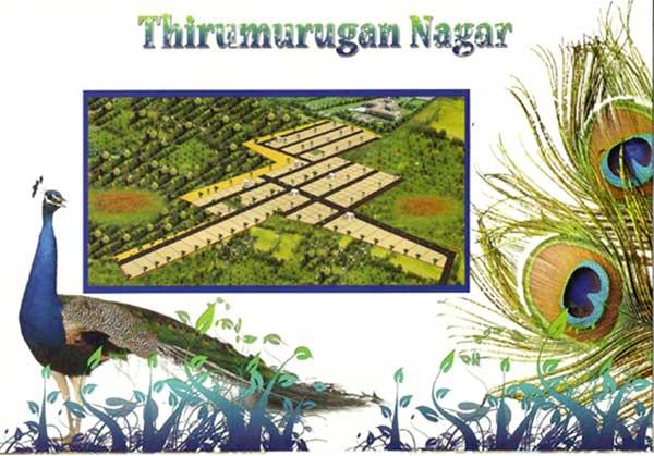 Thirumurugan Nagar, Coimbatore - Residential Houses