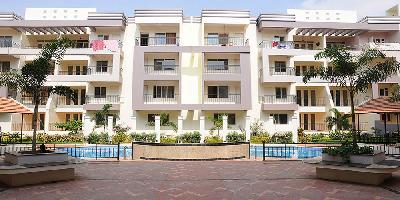 Arun MS Palazzo