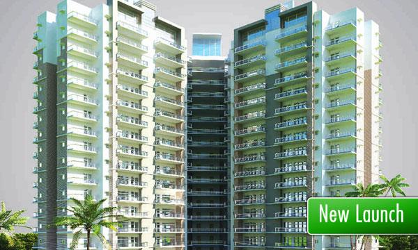 AVJ Platinum, Greater Noida - Premium Apartments