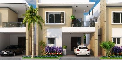 Ongoing Projects