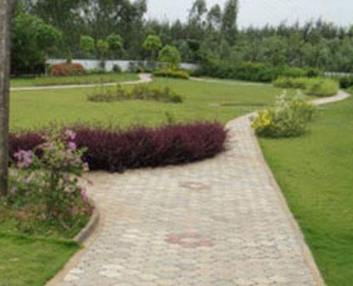 Teja Vari Garden, Chennai - Teja Vari Garden