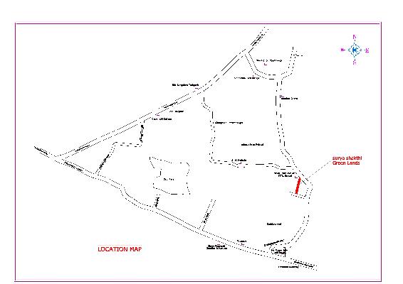 Lily Jasmine, Visakhapatnam - Lily Jasmine