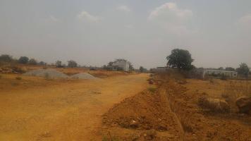 Suchirindia Koral Reef