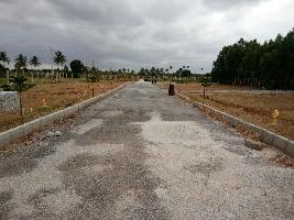 Manani Green City