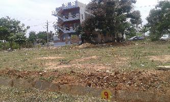 Manani Woods II