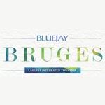 Bluejay Bruges