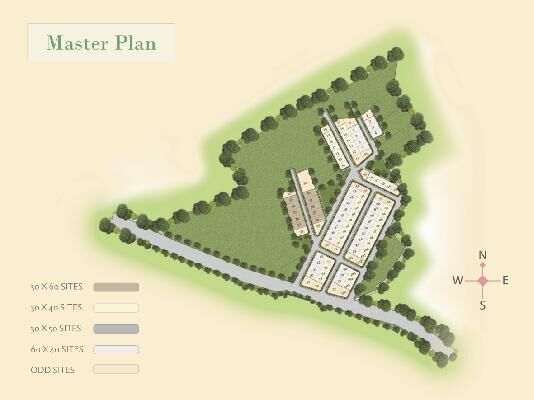 Bluejay Olive, Bangalore - Bluejay Olive