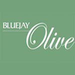 Bluejay Olive