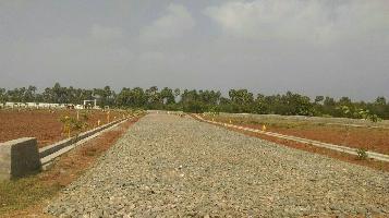 Bhashyam Pioneer County